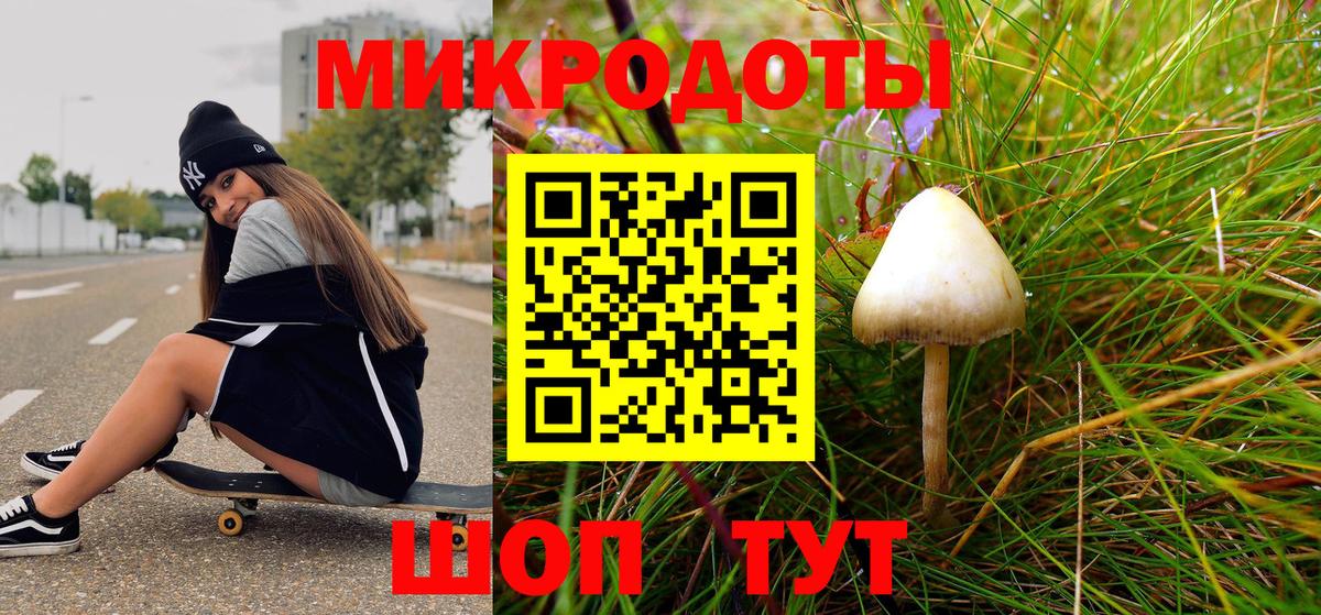 Галлюциногенные грибы Cubensis Туапсе
